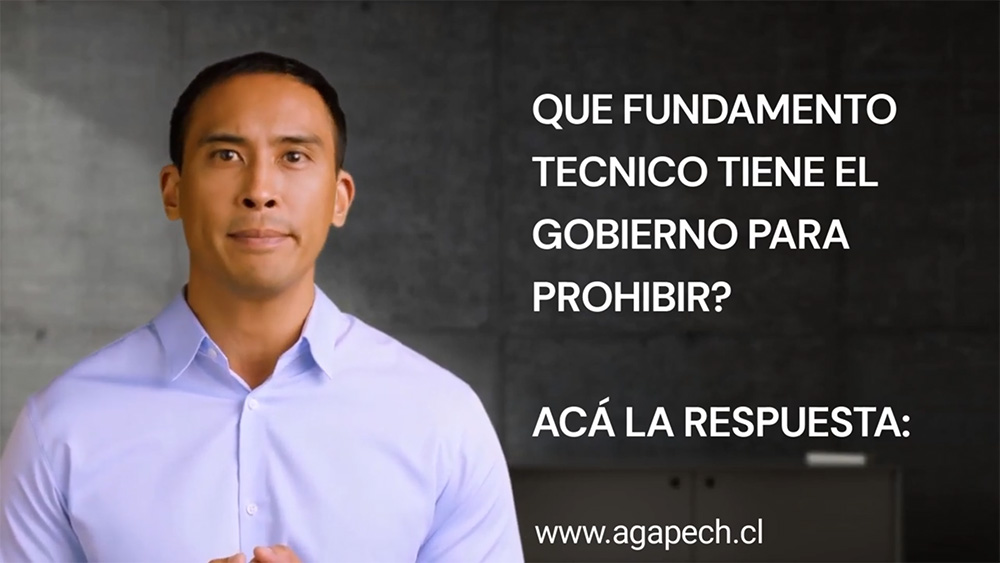 ARGUMENTOS EQUIVOCADOS